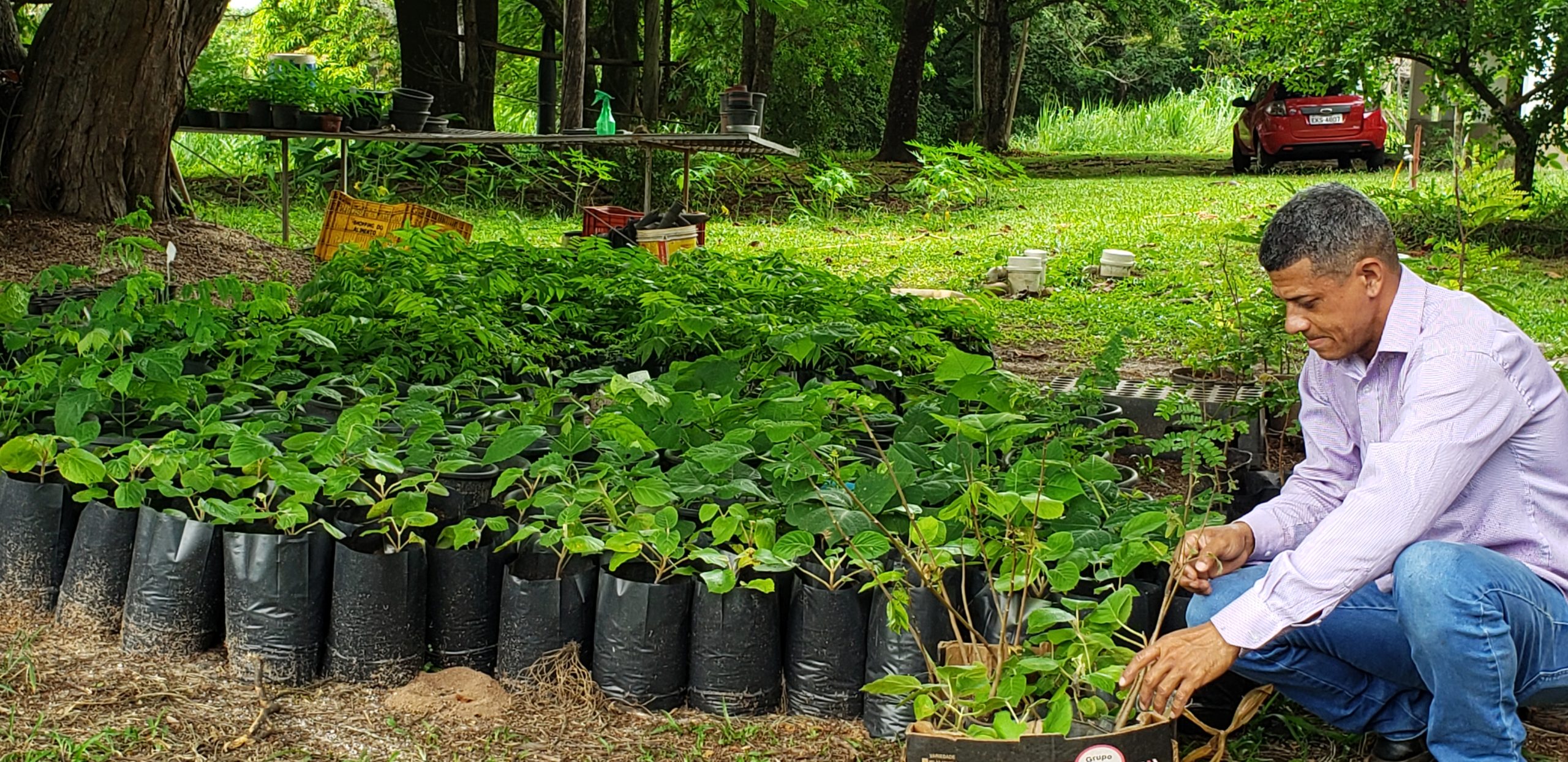 Plantiogtcsitioduascachoeiras7 Sítio Duas Cachoeiras 7260