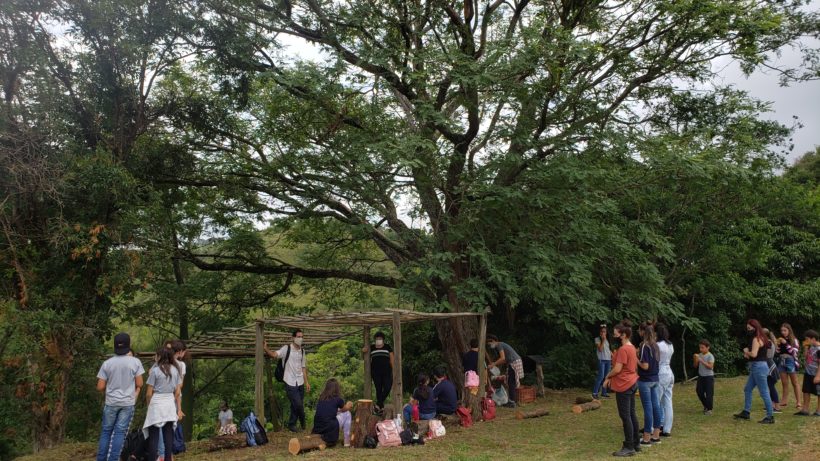 Escolas públicas participam de projeto de conservação de espécies de árvores nativas ameaçadas de extinção