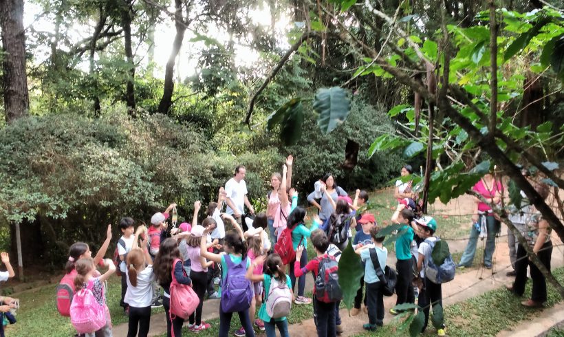 “Diário” de Um Sítio – A Vida no Campo – 05 – Crianças aprendem sustentabilidade na prática.