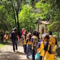 Arte e Sustentabilidade: Jardim Botânico Araribá Recebe Alunos de Amparo para Experiência de “Alfabetização Ecológica”