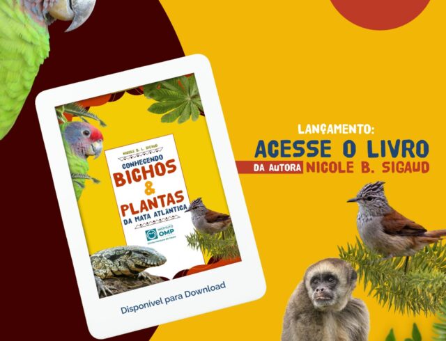E-book sobre a Mata Atlântica ensina crianças e educadores sobre o bioma – com apoio do Araribá JB