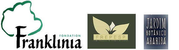 Via web, um balanço de resultados do projeto de preservação patrocinado pela Fondation Franklinia
