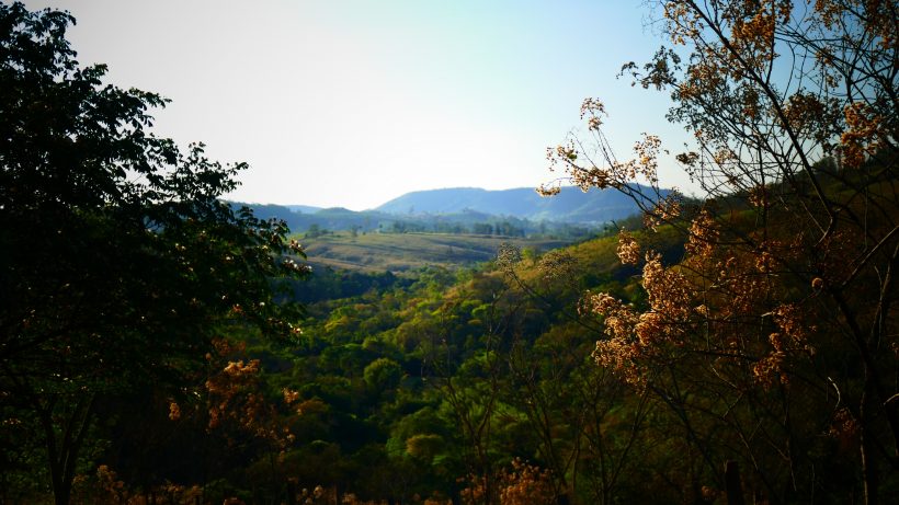 Ana Maria Primavesi terá um bosque com seu nome no JBA